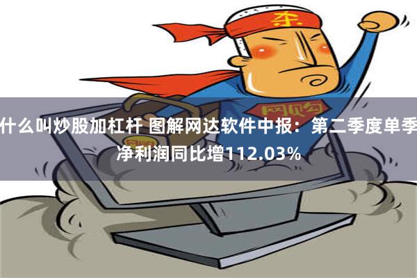 什么叫炒股加杠杆 图解网达软件中报：第二季度单季净利润同比增112.03%