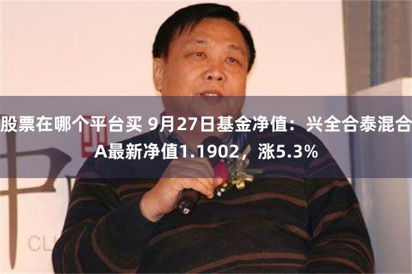 股票在哪个平台买 9月27日基金净值：兴全合泰混合A最新净值1.1902，涨5.3%