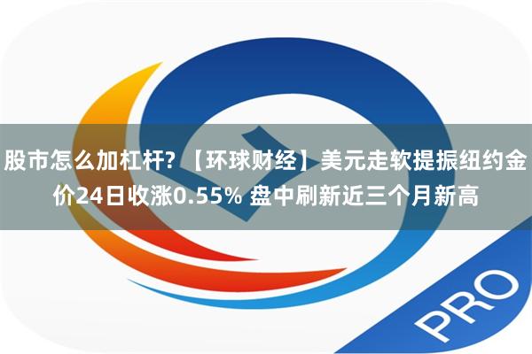 股市怎么加杠杆? 【环球财经】美元走软提振纽约金价24日收涨0.55% 盘中刷新近三个月新高